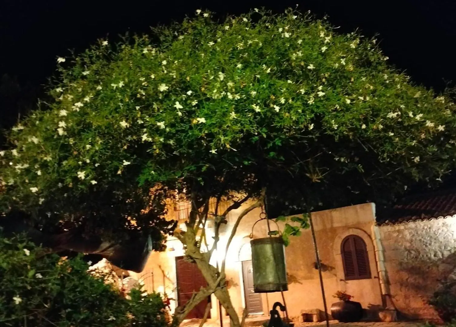 Holiday home I Dammusi Villa Santa Croce Camerina